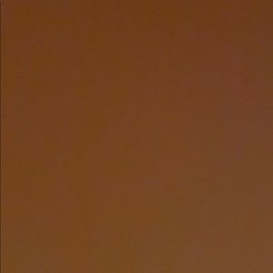 Meet your Posher, Alli